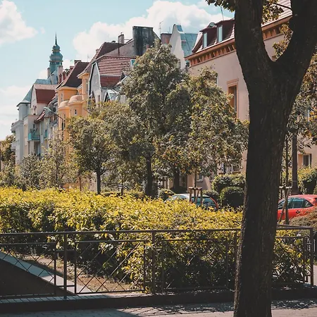 2homerent W Dzielnicy Muzycznej